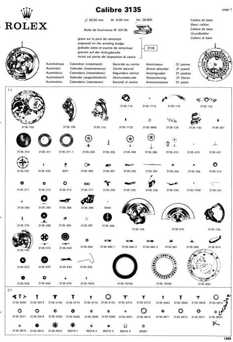 rolex 3135 movement diagram.